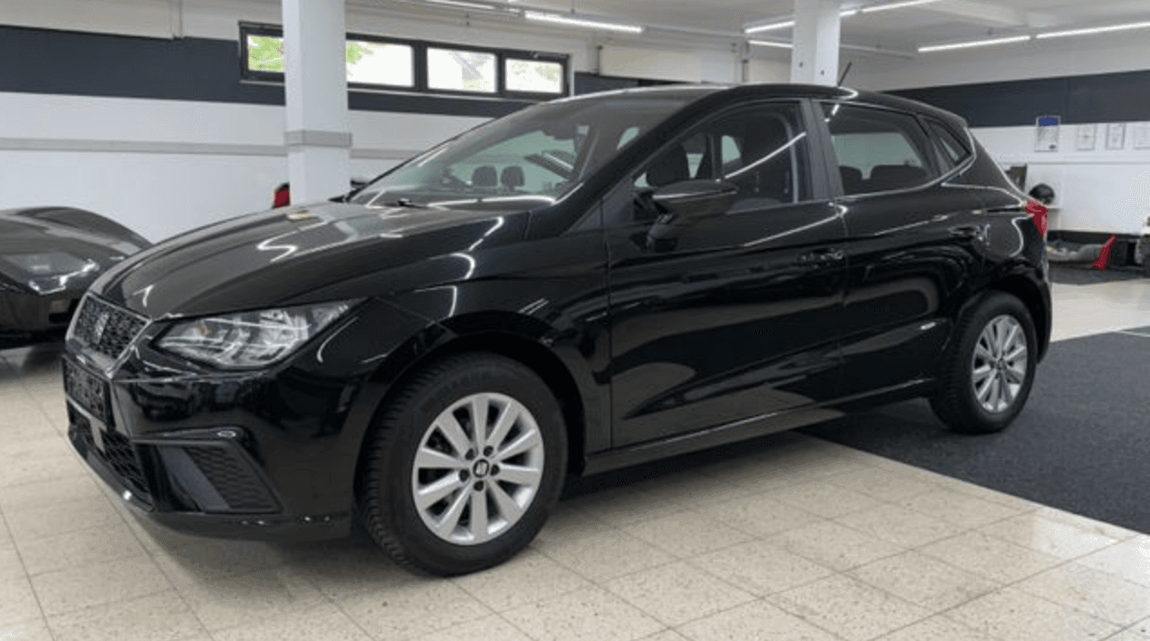 Seat Ibiza Style